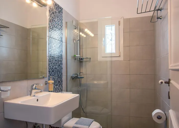 Alkyoni شقة Ándros